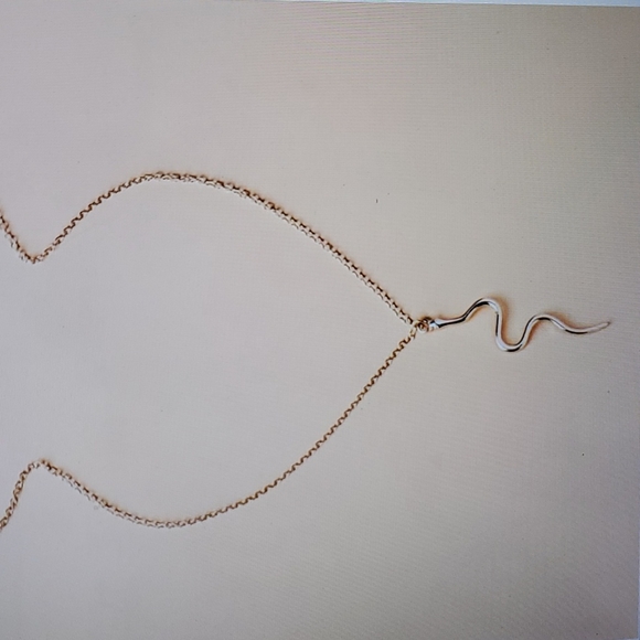 Gold Plated Necklace with Snake Accesory - Picture 3 of 4